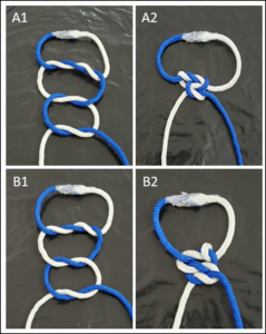 Nós verdadeiros frouxos (A1) e apertados (A2), e nós falsos frouxos (B1) e apertados (B2) . Fonte: arquivo Surgery4Vets, 2020. 